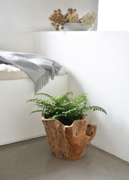 Asri Teak Pot