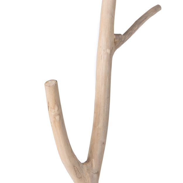 Teak Branch Coat Stand