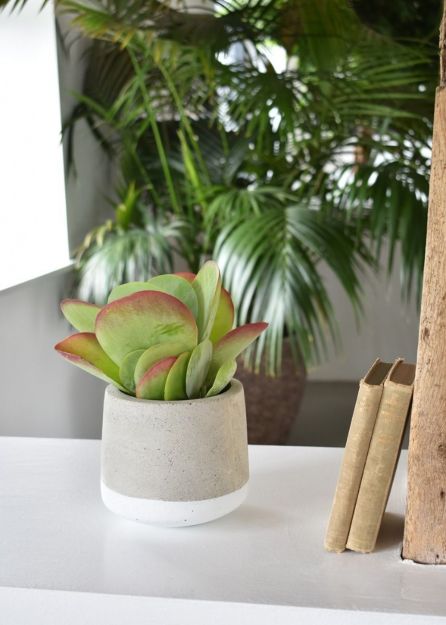 Small Concrete Pot - White