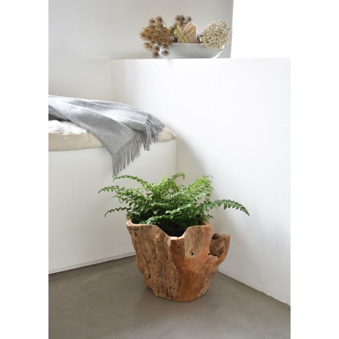 Asri Teak Pot