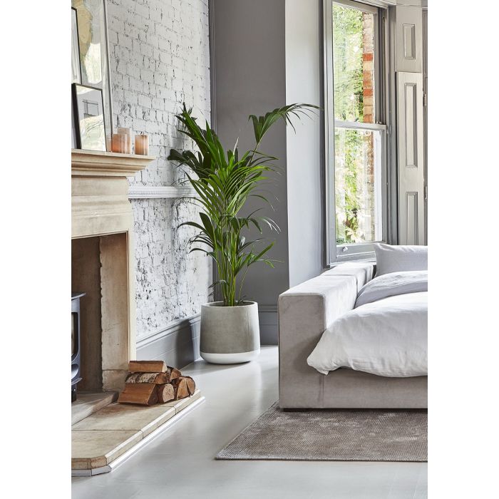 Concrete Floor Planter - White