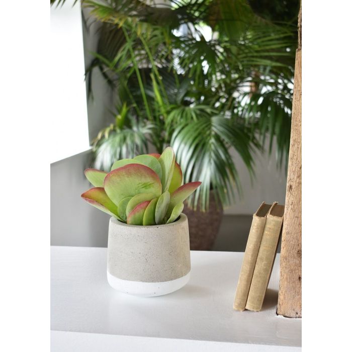 Small Concrete Pot - White