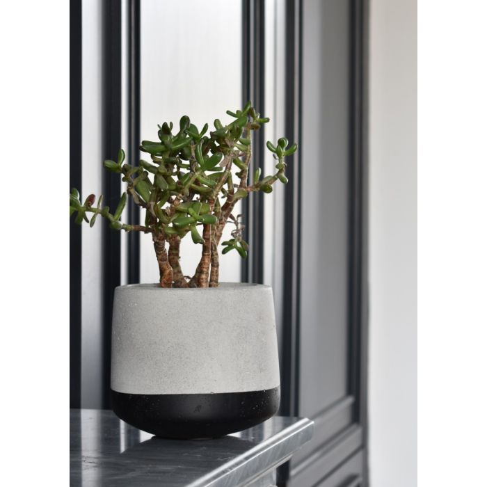 Small Concrete Pot - Black