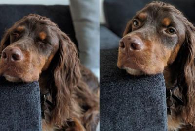 How to clean and care for your sofa