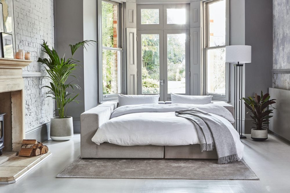 Sofa bed with indoor plant and floor lamp