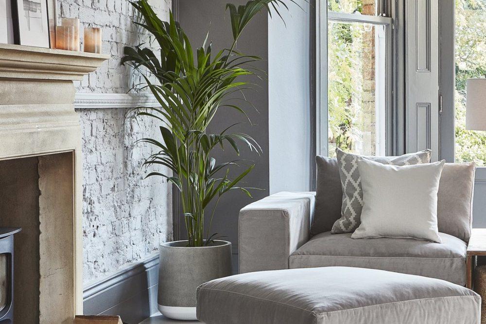 Self care with indoor plant in industrial concrete planter